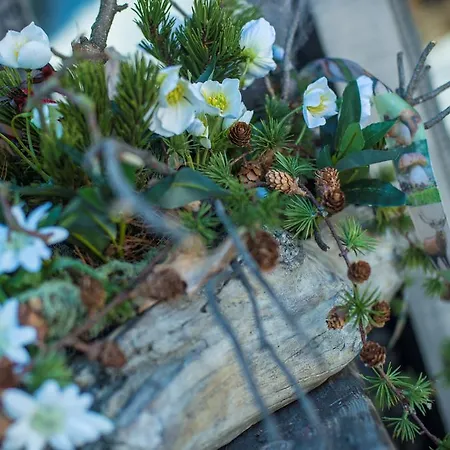 Appartementhaus Jaegerheim Appartement